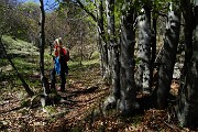 18 Sentiero nel bosco di prevalente faggeta